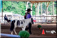 4H-District-16-0548.jpg