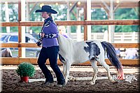 4H-District-16-0553.jpg