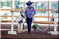 4H-District-16-0556.jpg