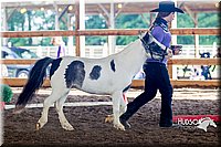 4H-District-16-0558.jpg