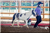 4H-District-16-0561.jpg