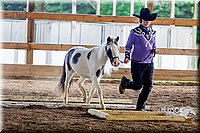 4H-District-16-0565.jpg