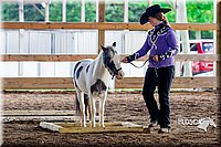 4H-District-16-0567.jpg