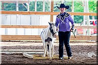 4H-District-16-0569.jpg