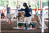 4H-District-16-0578.jpg