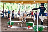 4H-District-16-0579.jpg