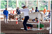 4H-District-16-0582.jpg