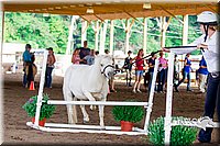 4H-District-16-0583.jpg