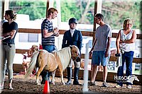 4H-District-16-0586.jpg