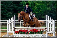 4H-District-16-0293.jpg