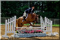 4H-District-16-0301.jpg