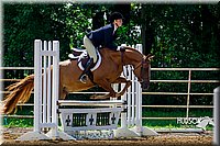 4H-District-16-0303.jpg