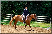 4H-District-16-0305.jpg