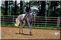 4H-District-16-0308.jpg