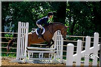 4H-District-16-0317.jpg