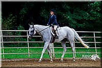 4H-District-16-0327.jpg