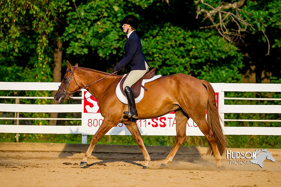 4H-District-16-0664.jpg