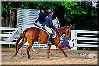 4H-District-16-0676.jpg