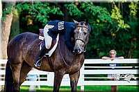 4H-District-16-0698.jpg