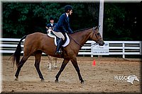 4H-District-16-0755.jpg