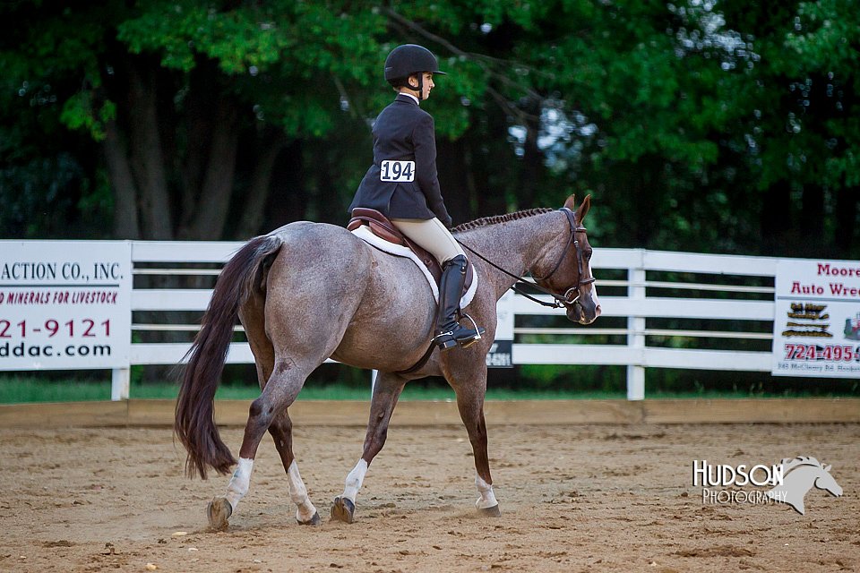 4H-District-16-0816.jpg