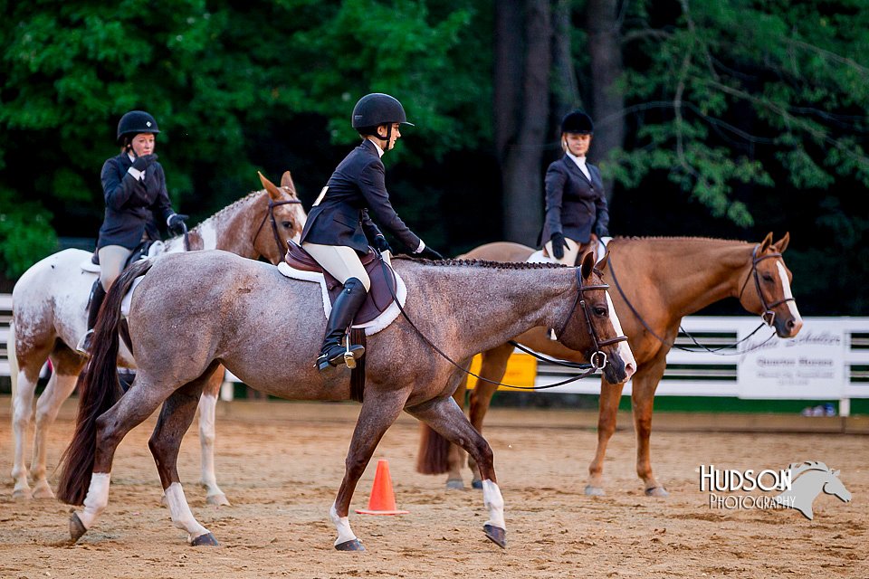 4H-District-16-0836.jpg