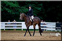 4H-District-16-0760.jpg