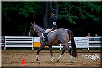 4H-District-16-0776.jpg
