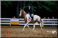 4H-District-16-0788.jpg