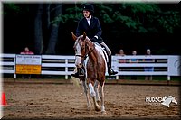 4H-District-16-0794.jpg