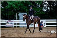 4H-District-16-0803.jpg