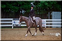 4H-District-16-0808.jpg