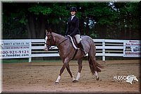 4H-District-16-0809.jpg
