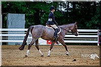 4H-District-16-0817.jpg