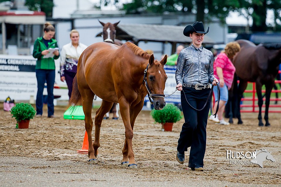 4H-District-16-0936.jpg