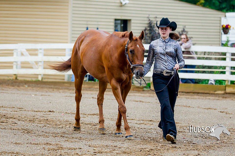 4H-District-16-0945.jpg