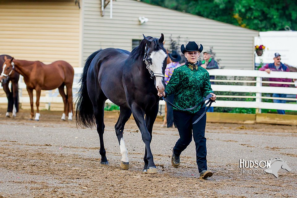 4H-District-16-0961.jpg