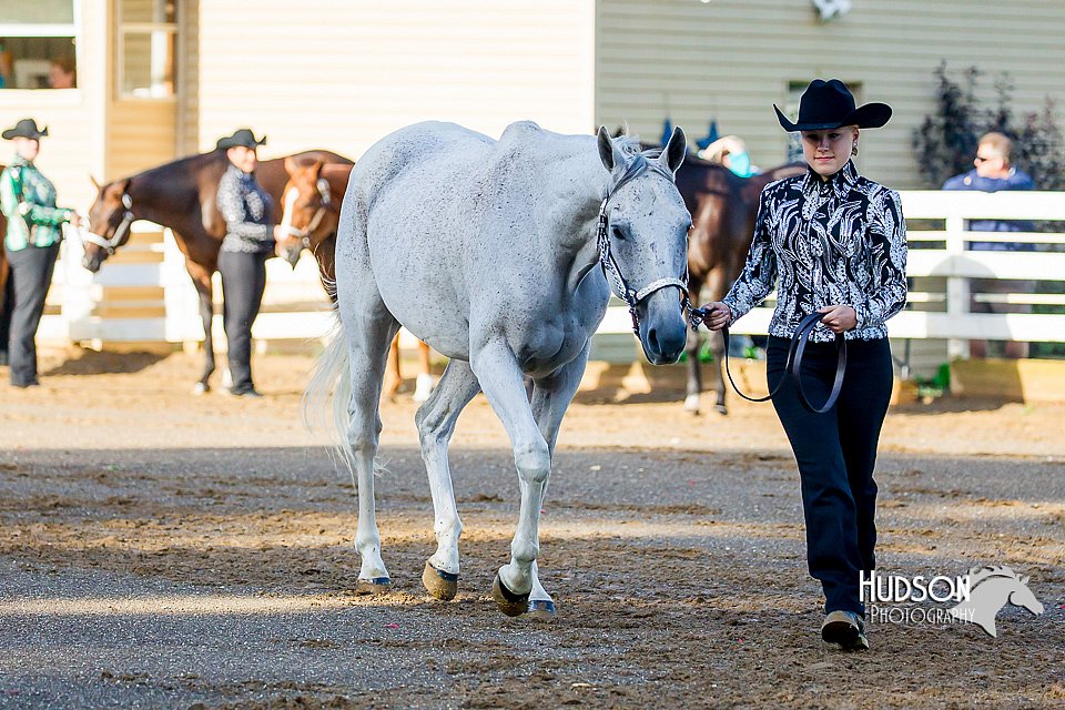 4H-District-16-0976.jpg
