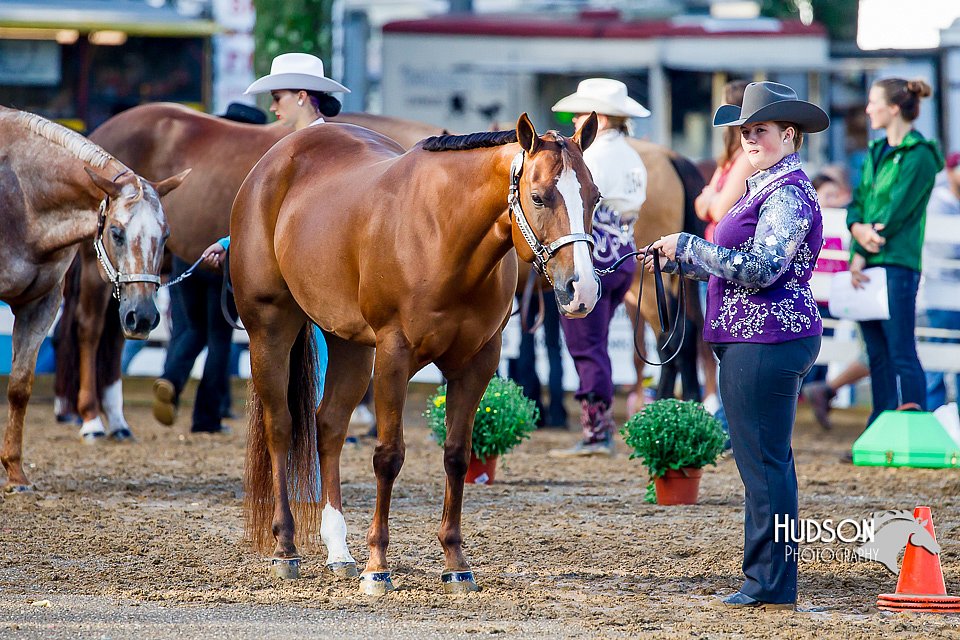 4H-District-16-0989.jpg