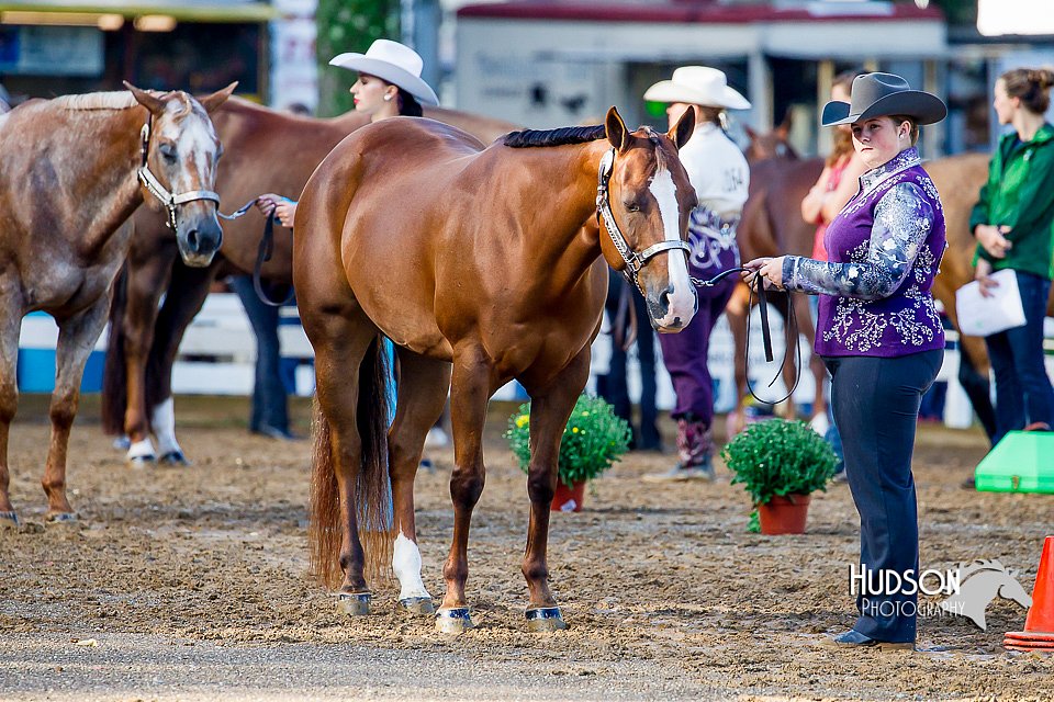 4H-District-16-0991.jpg