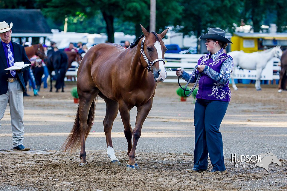 4H-District-16-1004.jpg