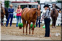 4H-District-16-0932.jpg