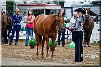 4H-District-16-0933.jpg