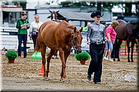 4H-District-16-0936.jpg