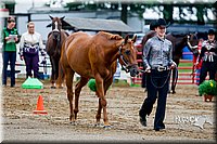 4H-District-16-0937.jpg