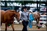 4H-District-16-0939.jpg