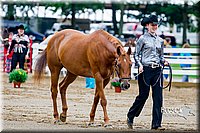 4H-District-16-0940.jpg