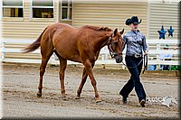 4H-District-16-0943.jpg