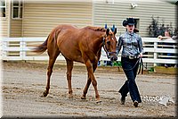 4H-District-16-0944.jpg