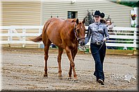 4H-District-16-0945.jpg